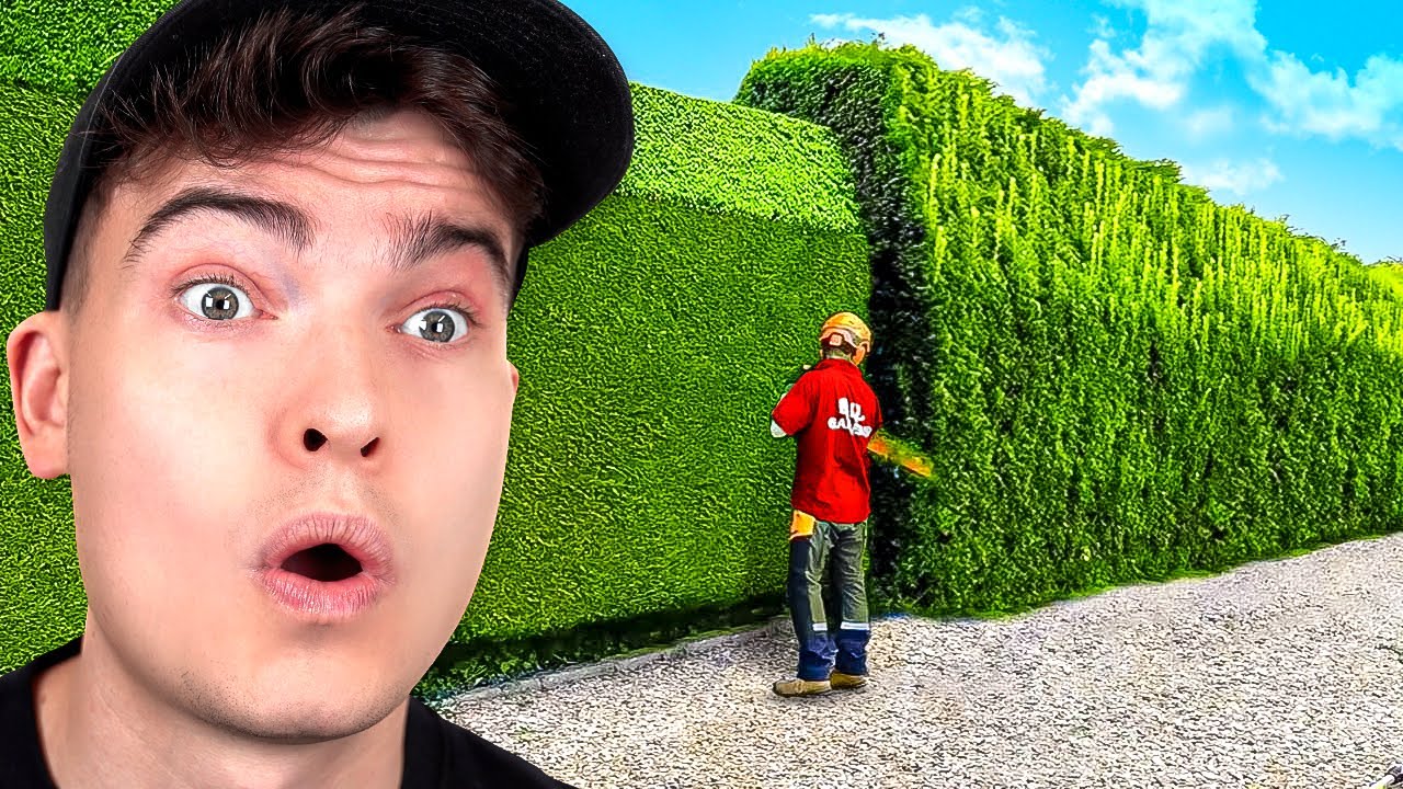 World's Most Satisfying Workers