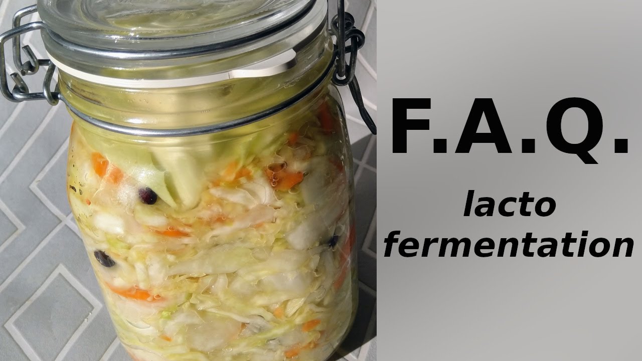 LACTOFERMENTATION: Vos questions et mes réponses! #consommationresponsable #budgetcuisine