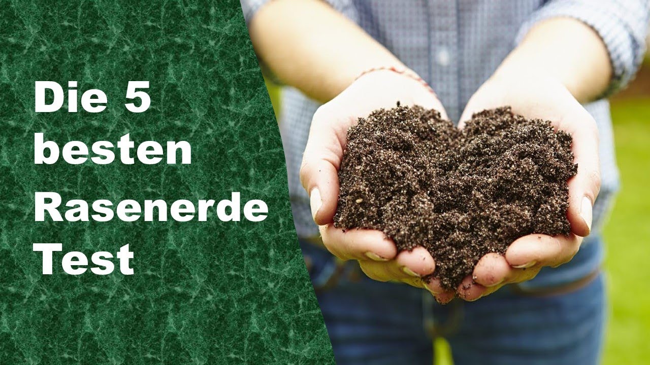 besten Rasenerde Test 2026