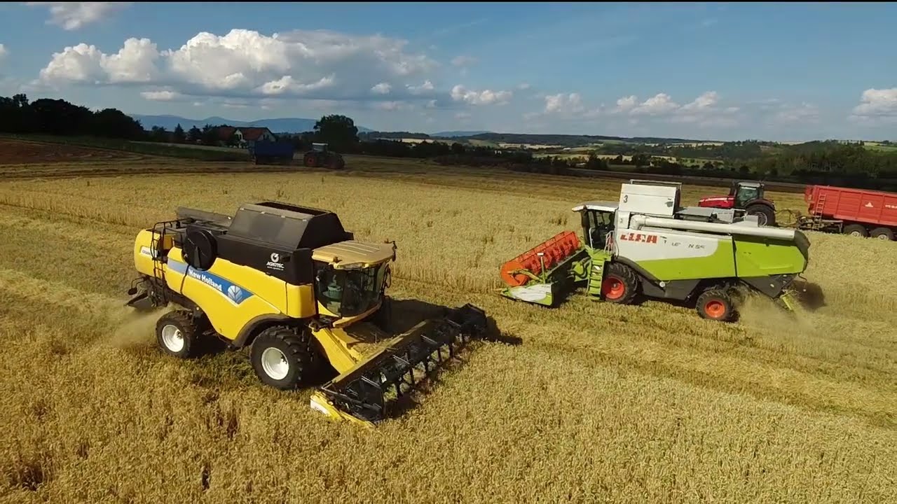Žně 2022