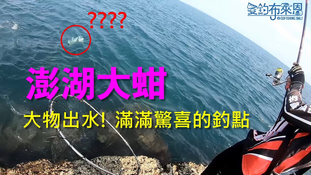 大物出水!! 傳說中充滿驚喜的白毛磯釣點~ #大蚶 #澎湖 #上礁 #釣魚記