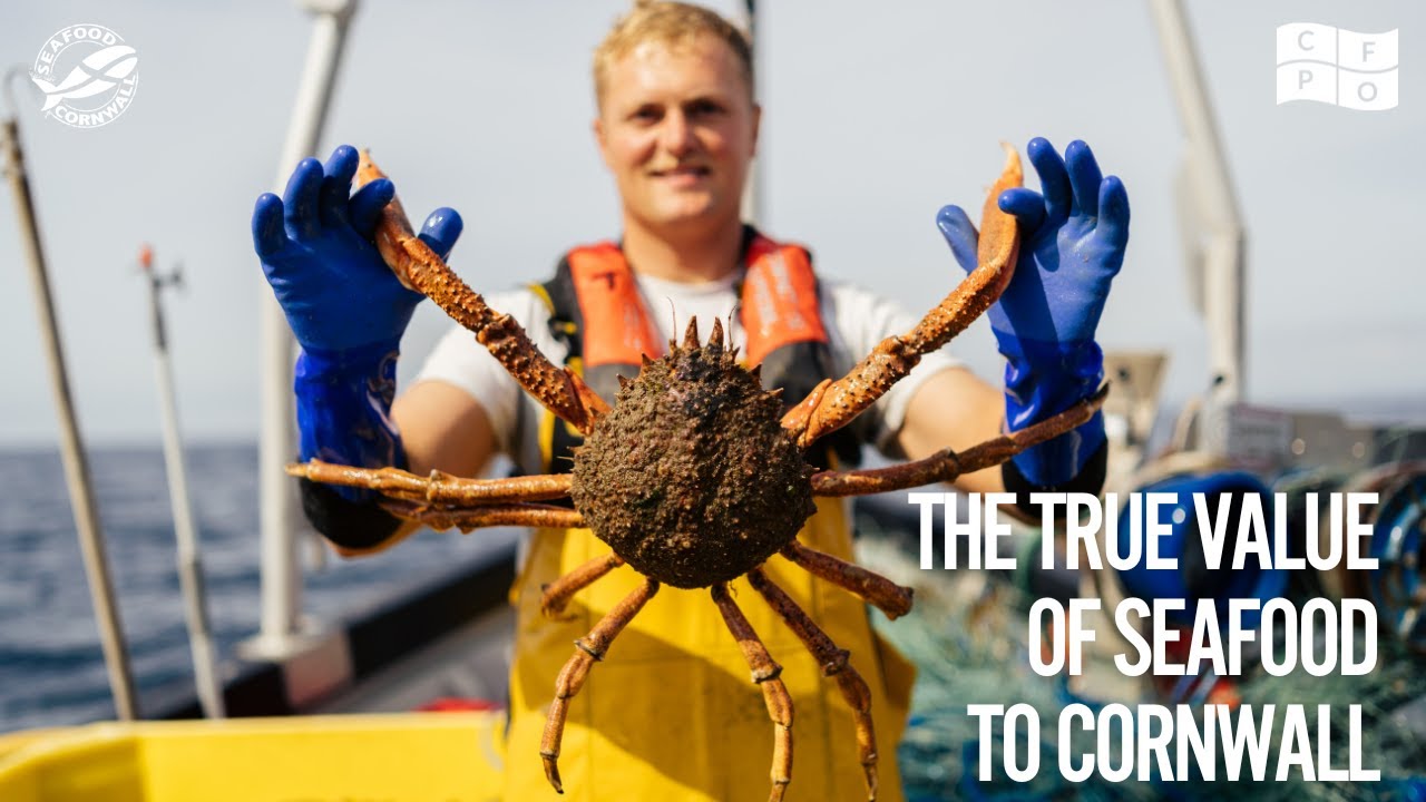 What's the true value of seafood to Cornwall?