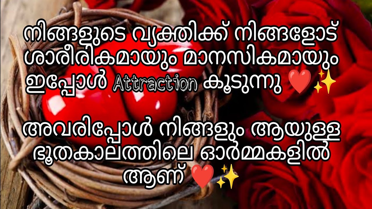 നിങ്ങളുടെ വ്യക്തിക്ക്‌ നിങ്ങളോട് ശാരീരികമായും മാനസികമായും ഇപ്പോൾ Attraction വരുന്നു ❤️✨