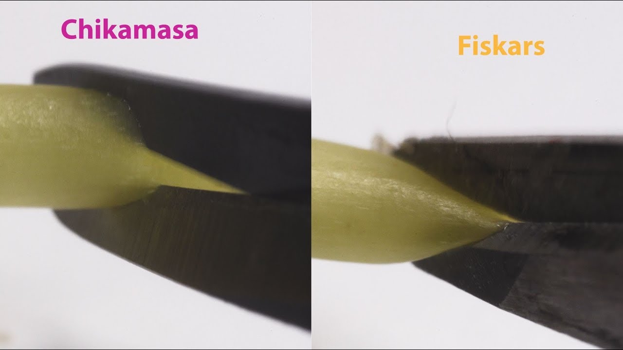 How Important Are Sharp Pruning Scissors? Chikamasa First Impressions