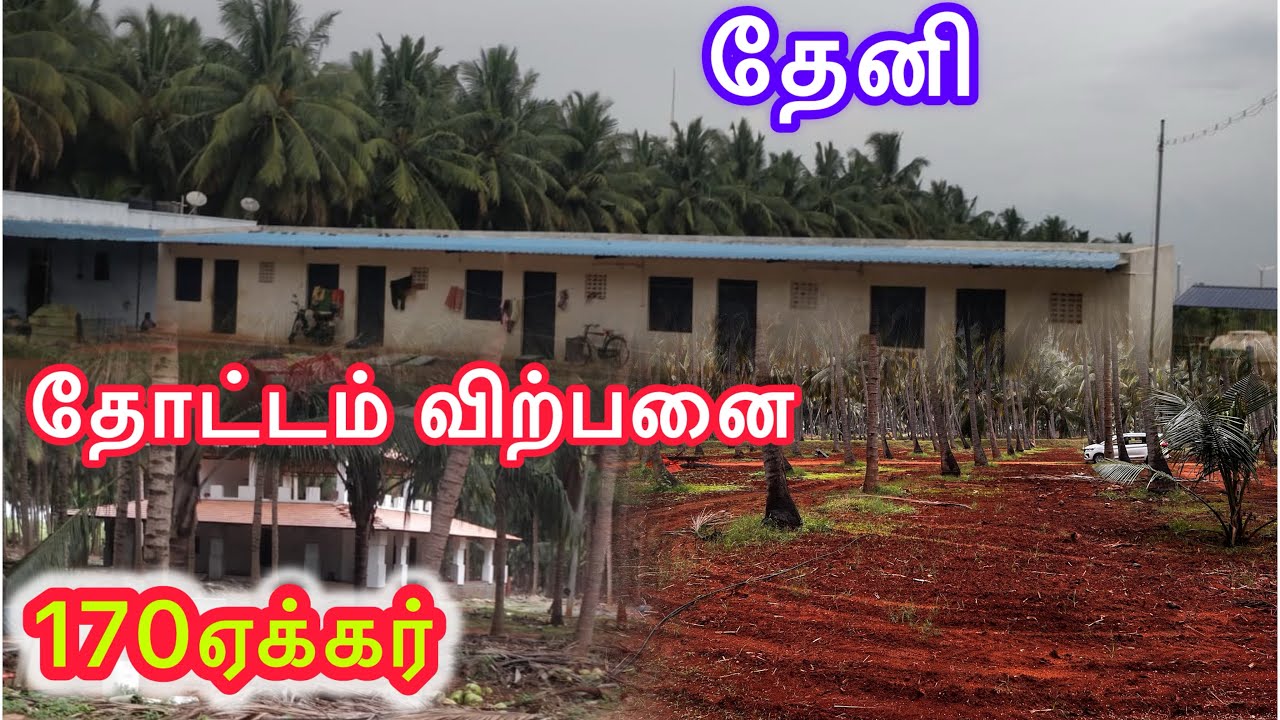 அனைவருக்கும் பொங்கல் நல்வாழ்த்துக்கள்🥰தேனி மாவட்டம் தோட்டம் விற்பனை 7708702070