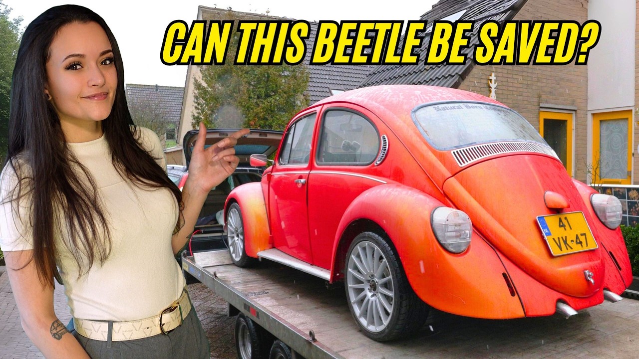 After 20 years, this Beetle finally gets a second chance