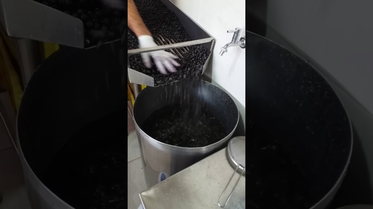 PROCESSO DE PRODUÇÃO DA POLPA DO AÇAÍ (LAVAGEM E MANIPULAÇÃO)