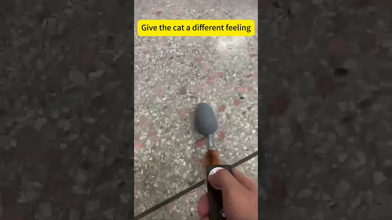 Silicone electronic mouse, pet fun companion!