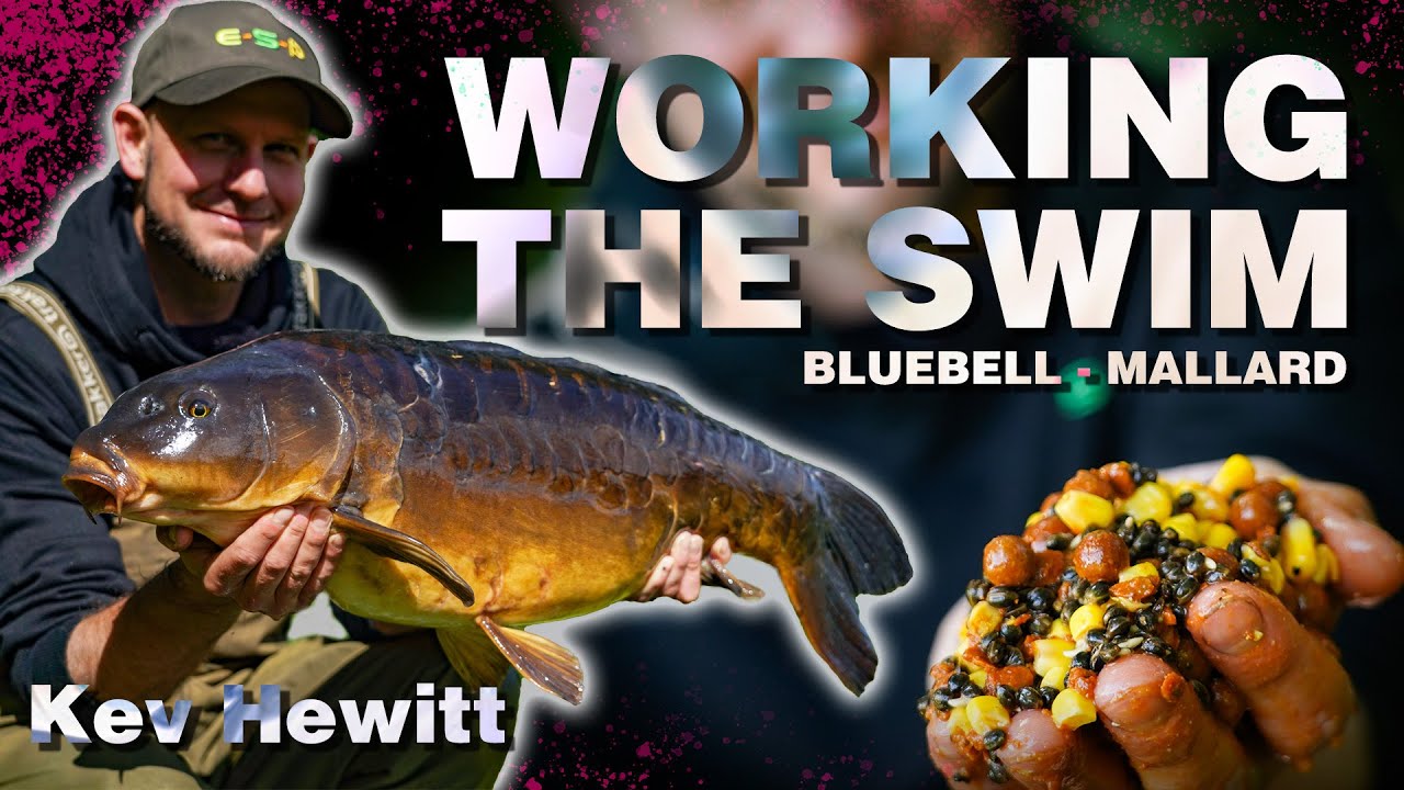 Ловля карпа на озерах Блюбелл — головоломка с дневным билетом 🧩 Озеро Маллард