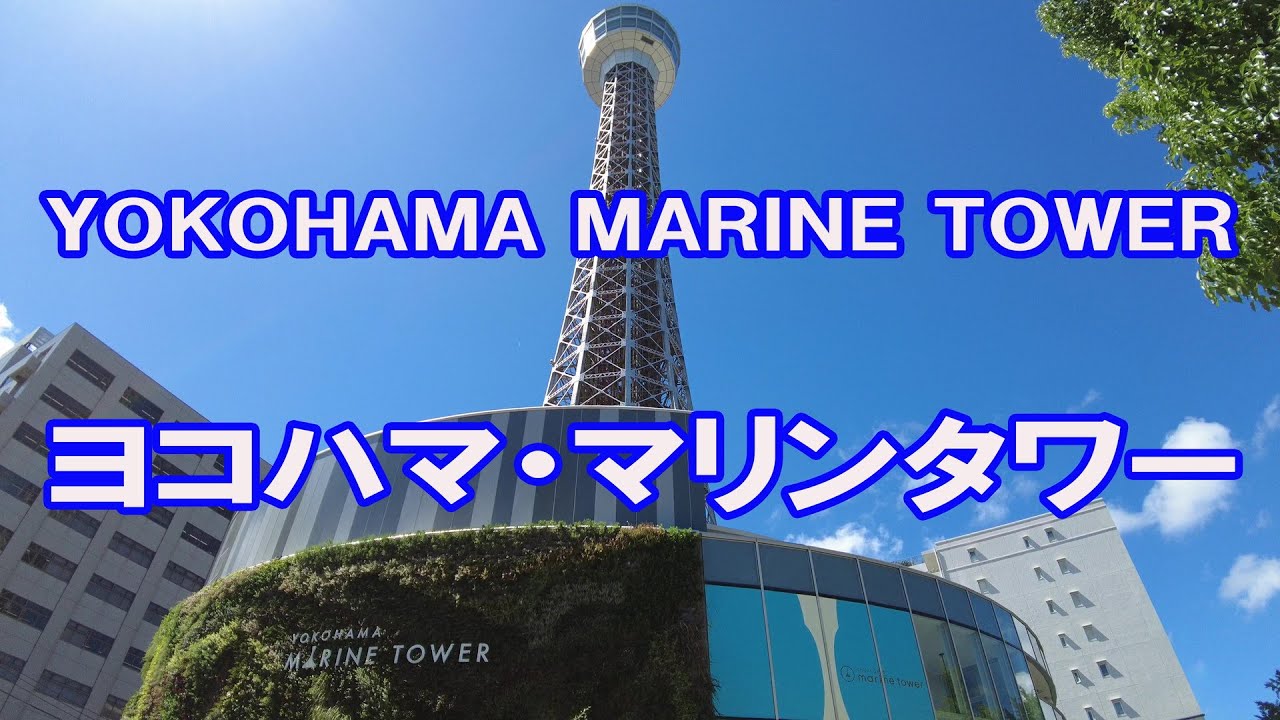 横浜マリンタワー展望フロア　リニューアルオープン