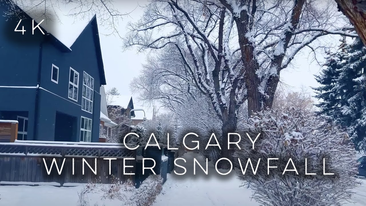 【4K】Calgary, Beautiful Snowfall |Crescent Heights |Canada #canadasnow  #snowfall #blizzard #snow