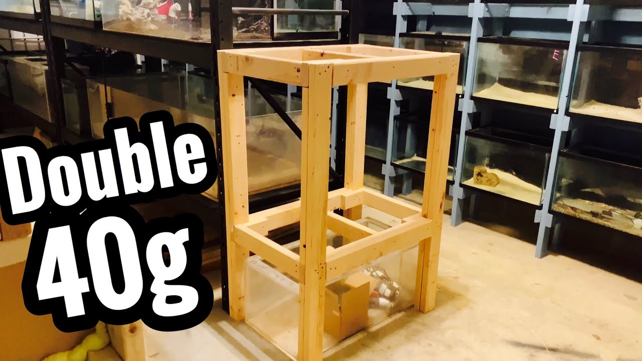 Dual 40 gallon Aquarium Stand (DIY Rack)