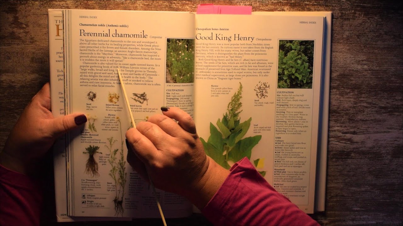 ASMR Herbs book, tracing, soft reading, relaxing, flowers