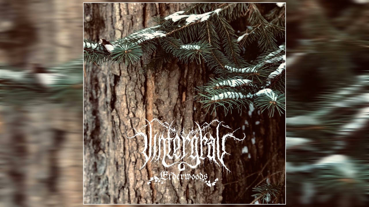 VINTERGRAV - ELDERWOODS (2021) (Full Album)