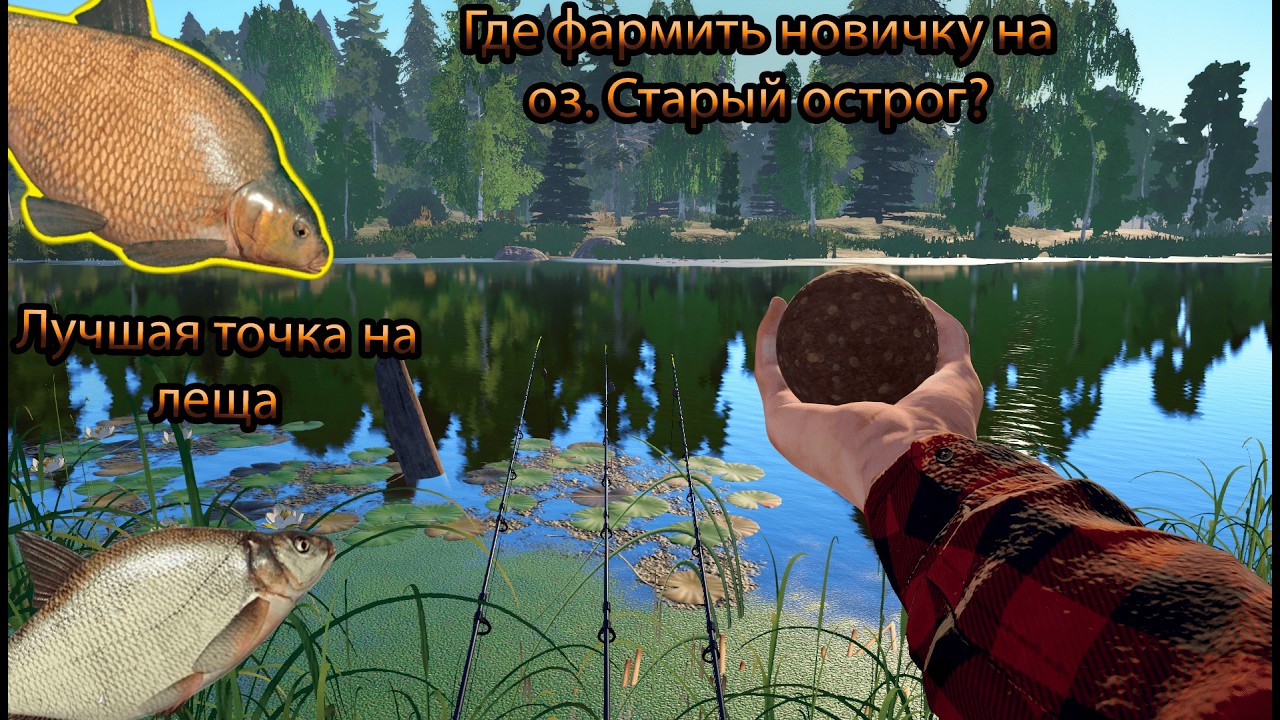 🎣ФАРМ ДЛЯ НОВИЧКОВ НА ОСТРОГЕ🎣 ГДЕ И КАК ЛОВИТЬ ЛЕЩА И ЗАРАБАТЫВАТЬ МИЛЛИОН СЕРЕБРА 🎣 ЗАКРЫЛ ТРОФЕЯ