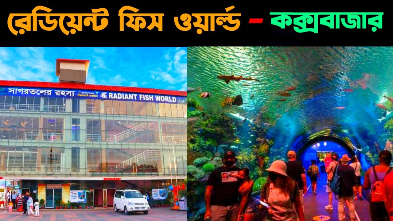 রেডিয়েন্ট ফিস ওয়ার্ল্ড, কক্সবাজার | Raidant Fish World - Cox's Bazar | সাগড় তলের রহস্য