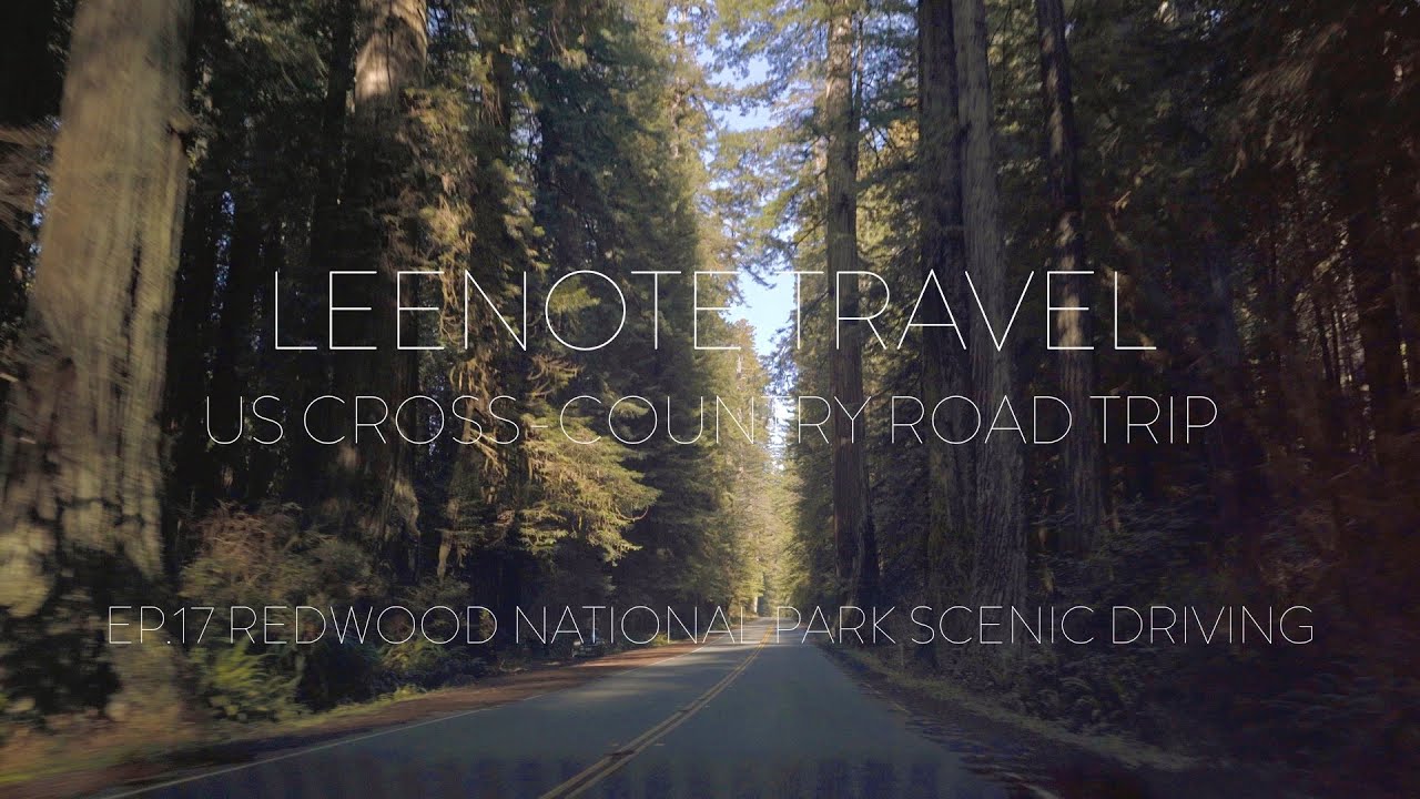 US Cross-country Road Trip | ep.17 Redwood National Park Driving | Sony a7c & iPhone 13 Mini | 4k