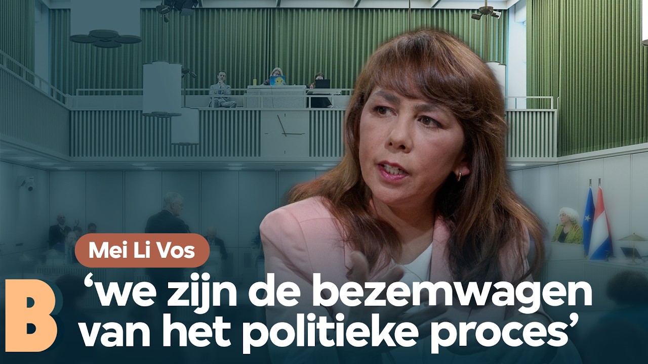 Over de versplinterde Eerste Kamer | Mei Li Vos | Buitenhof