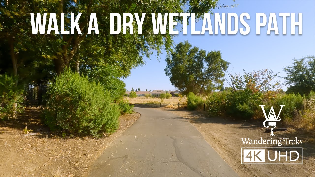 POV Nature Walk | Wildlife on Dry Summer Trail #4knaturevideo