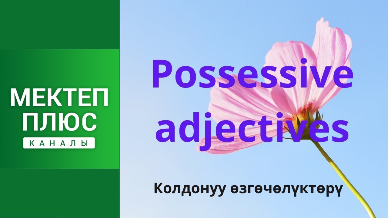 Possessive adjectives. English Grammar. Таандык ат атоочтор. Англис тилинин грамматикасы.