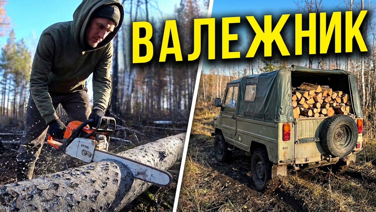 Валежник 2023. Почти бесплатные дрова. Собери сам и грейся.