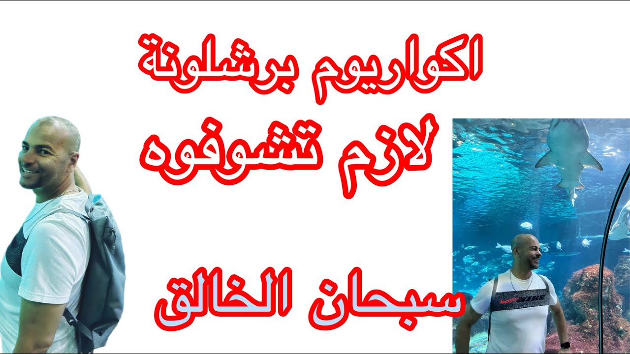 اكواريوم برشلونة في خلق الله شؤون على المباشر