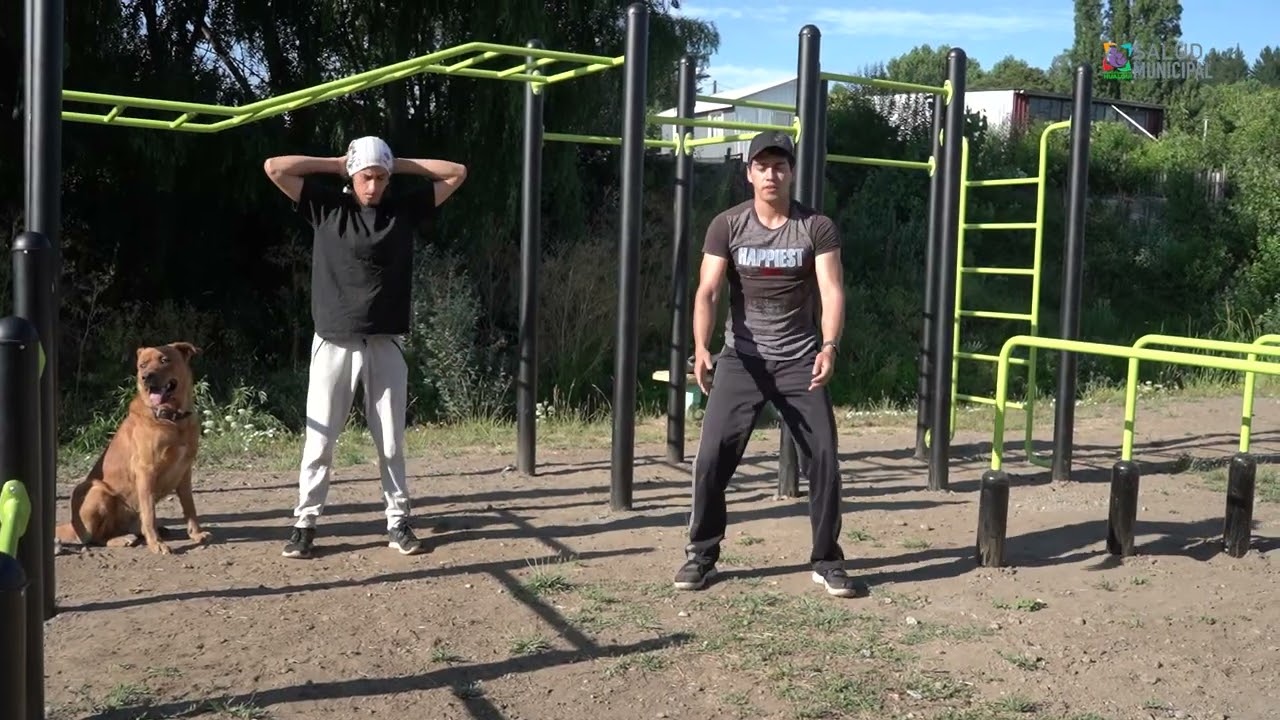 VIDEO CALISTENIA