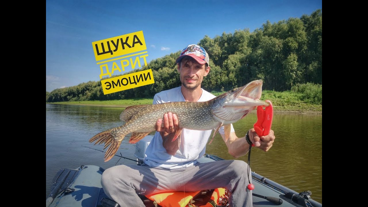 Щучьи подарки на день рождения