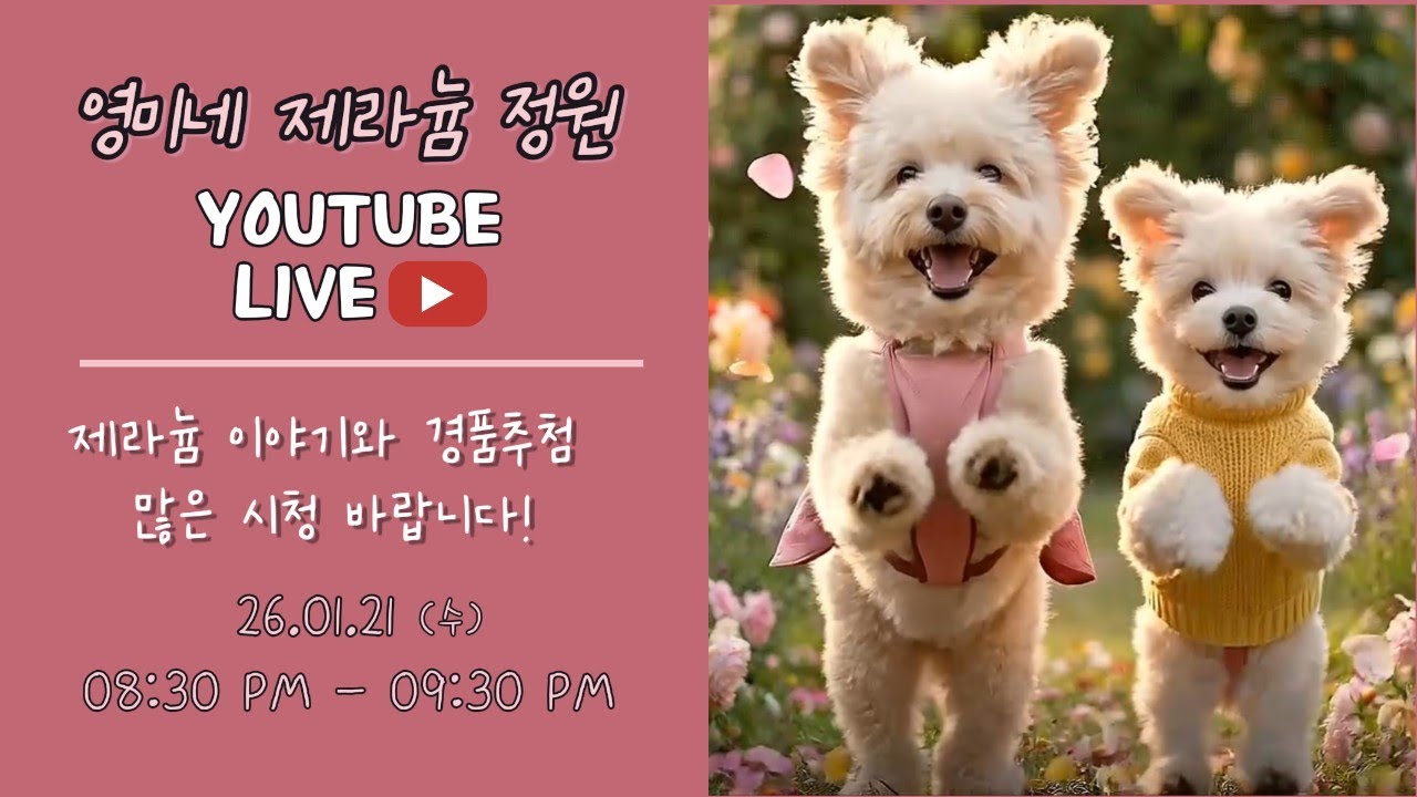 26.01.21(수) 영미네 제라늄 정원 라이브