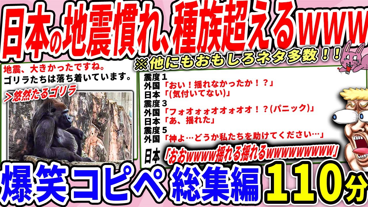 日本、地震が多すぎて動物まで耐性がついてたｗｗ