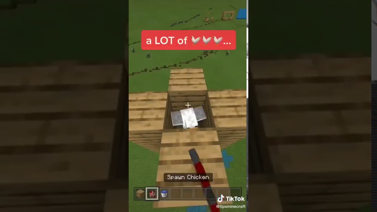 Minecraft Chicken Cannon