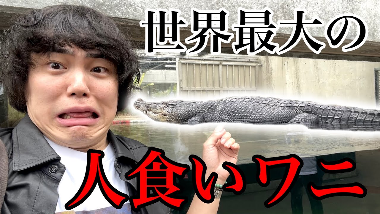 モンスターサイズのワニがいる動物園がすごすぎた！【体感型動物園iZoo】
