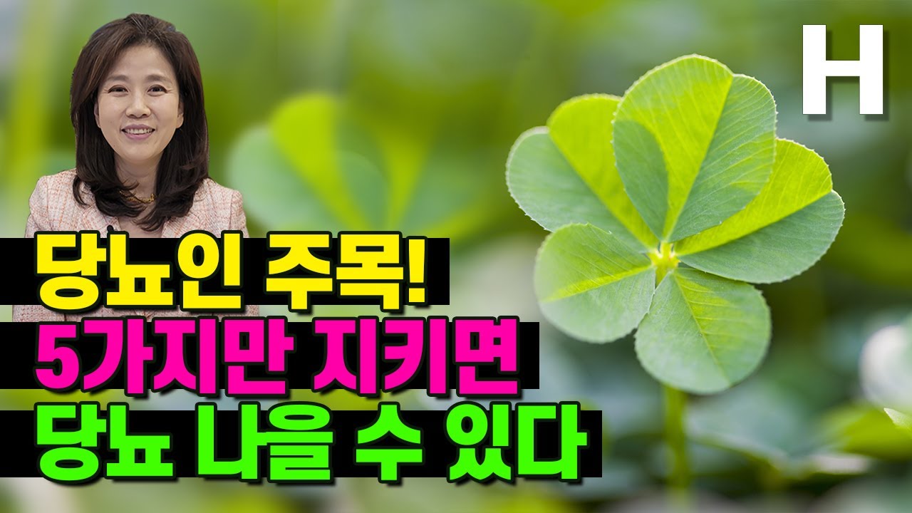 당뇨 관리의 핵심요소 5가지. 관리만 잘하면 건강하게 살 수 있다.  인슐린저항성 감소