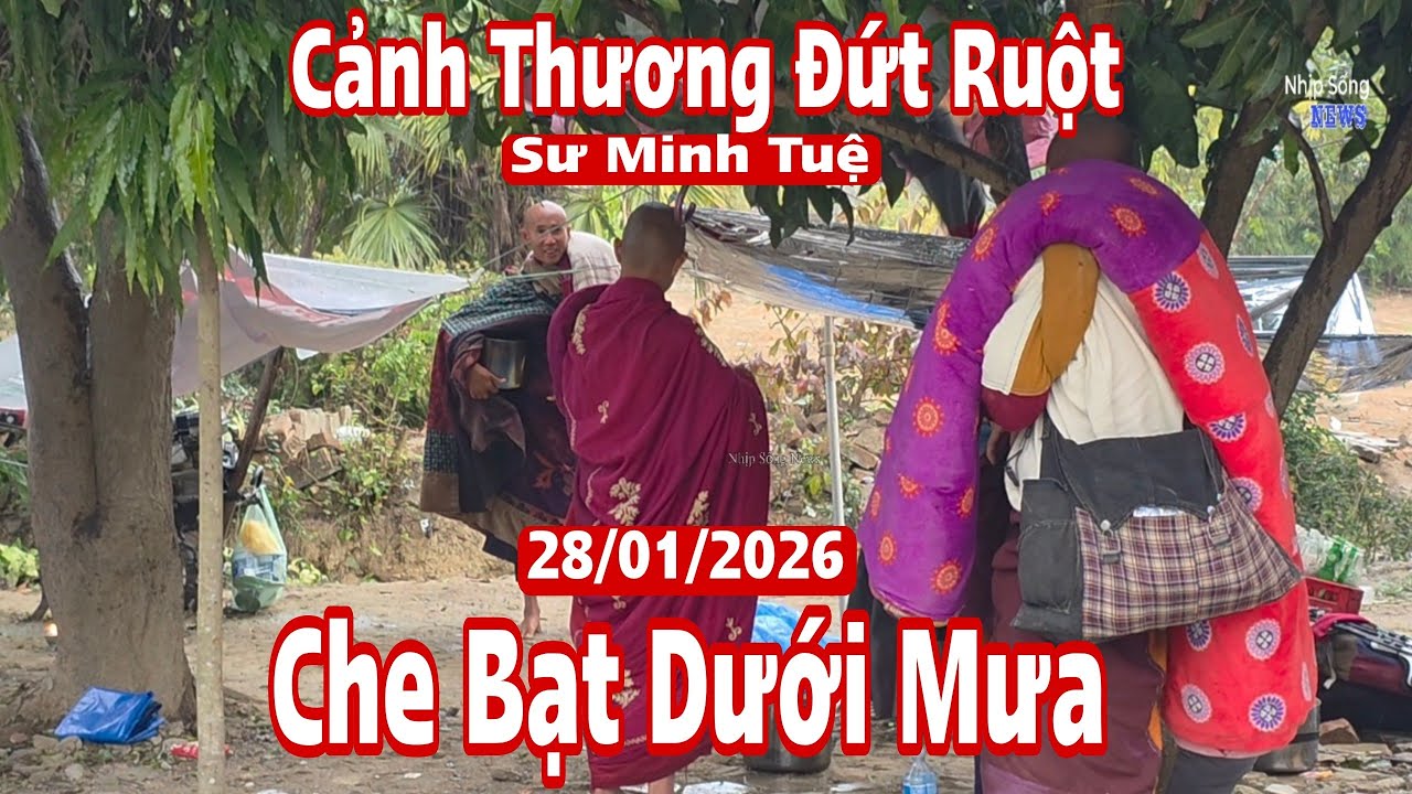 Nhìn cảnh này thấy thương sư phụ Minh Tuệ dưới mưa cùng sư Phúc Giác, Minh Tạng 28/1/26