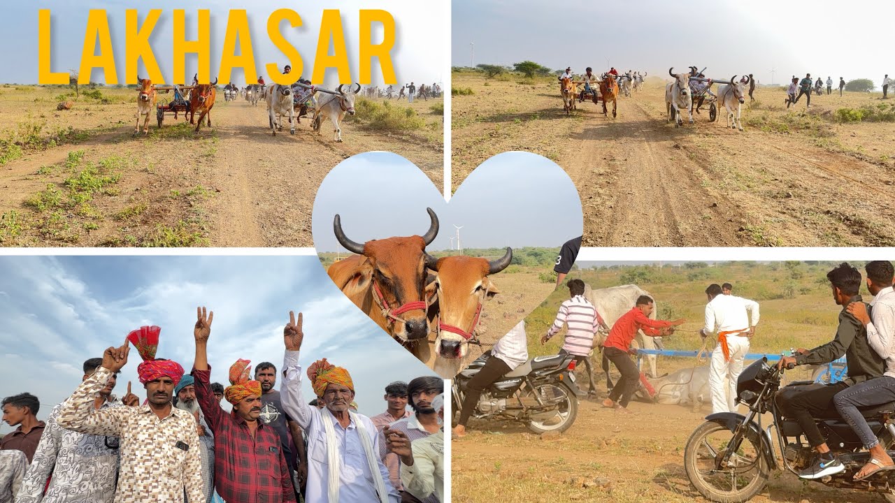 પીર લખાસાર બળધ ગાડાં નો રેસ peer lakhasar baddh gadano race🐴