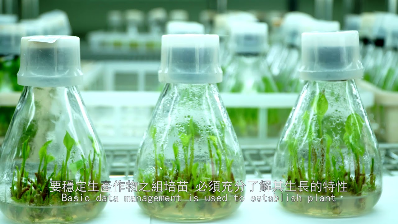 智慧農業－組織培養苗智慧化生產管理