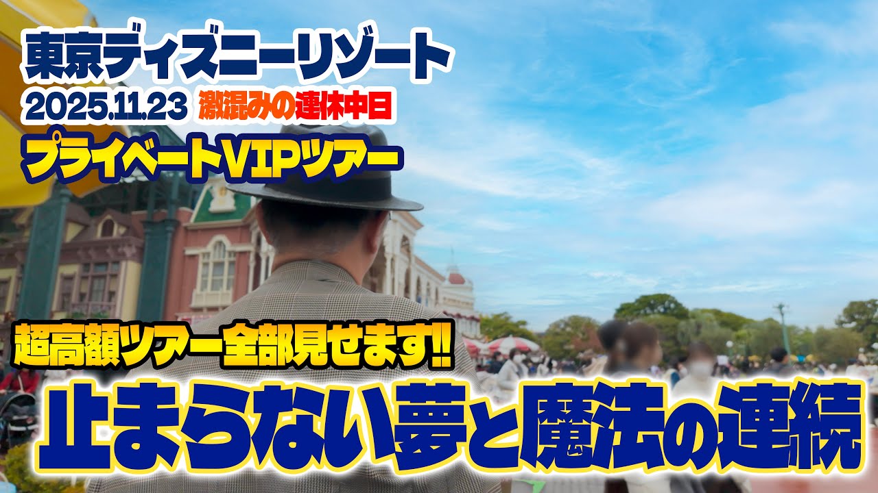 【完全版】超豪華!! プライベートVIPツアーに参加  |  東京ディズニーリゾート
