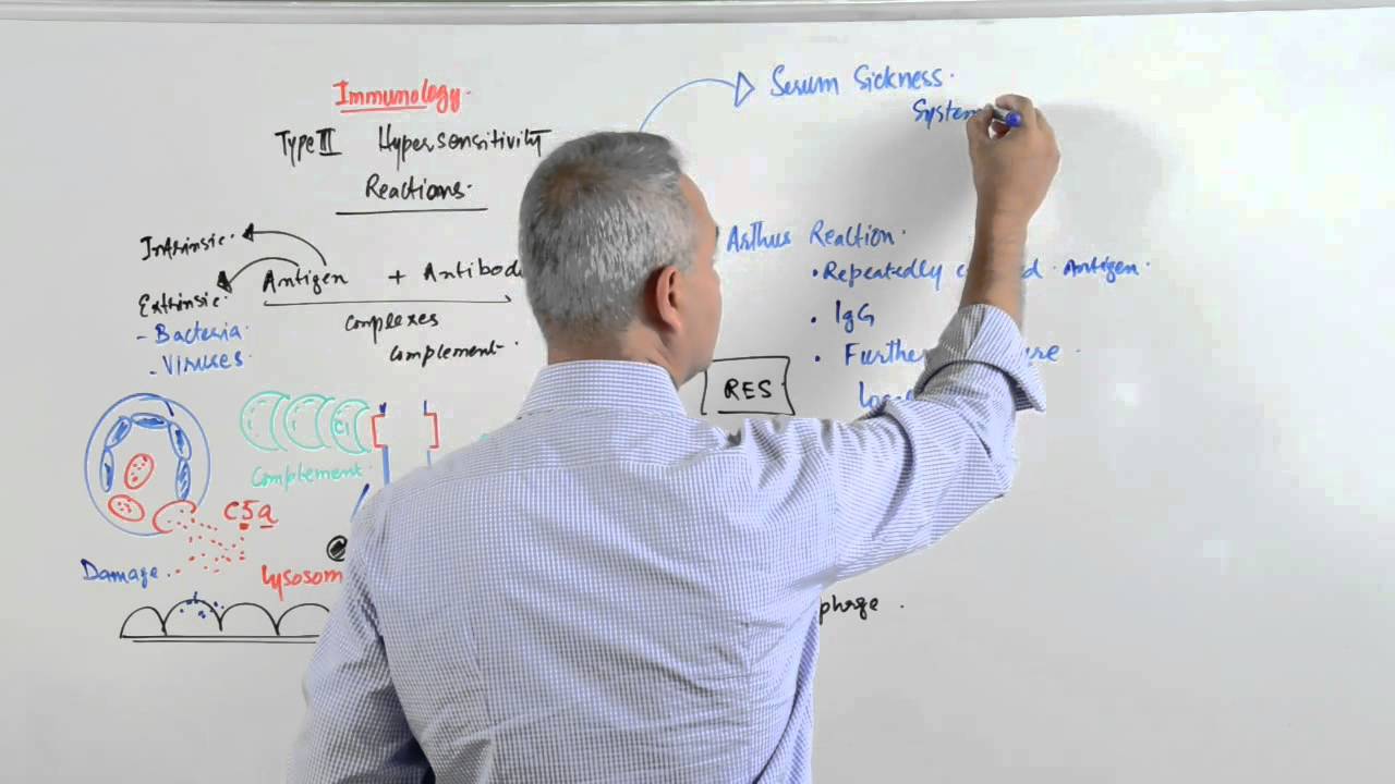 Immunology lecture 15 - Type III Hypersensitivity Reactions 3/6