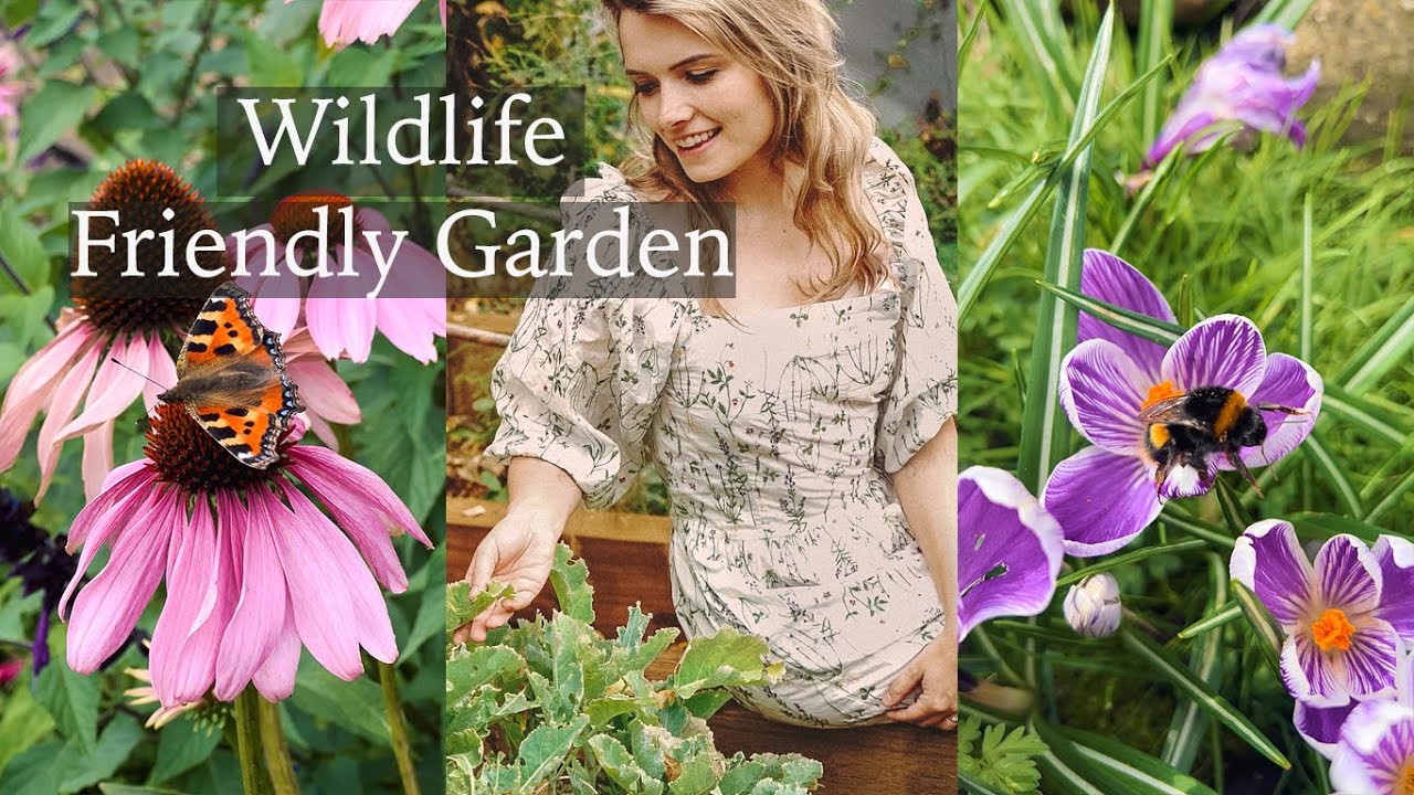 How to Create a Wildlife-Friendly Cottage Garden | Pond, Pollinators & More