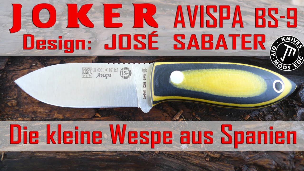 JOKER Avispa - kleine Wespe aus Spanien - ideales Backup?