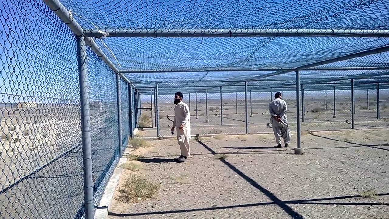 Houbara Bustard Breeding Farm at Kirechi Washuk District | November 11, 2013 | MyJourney143