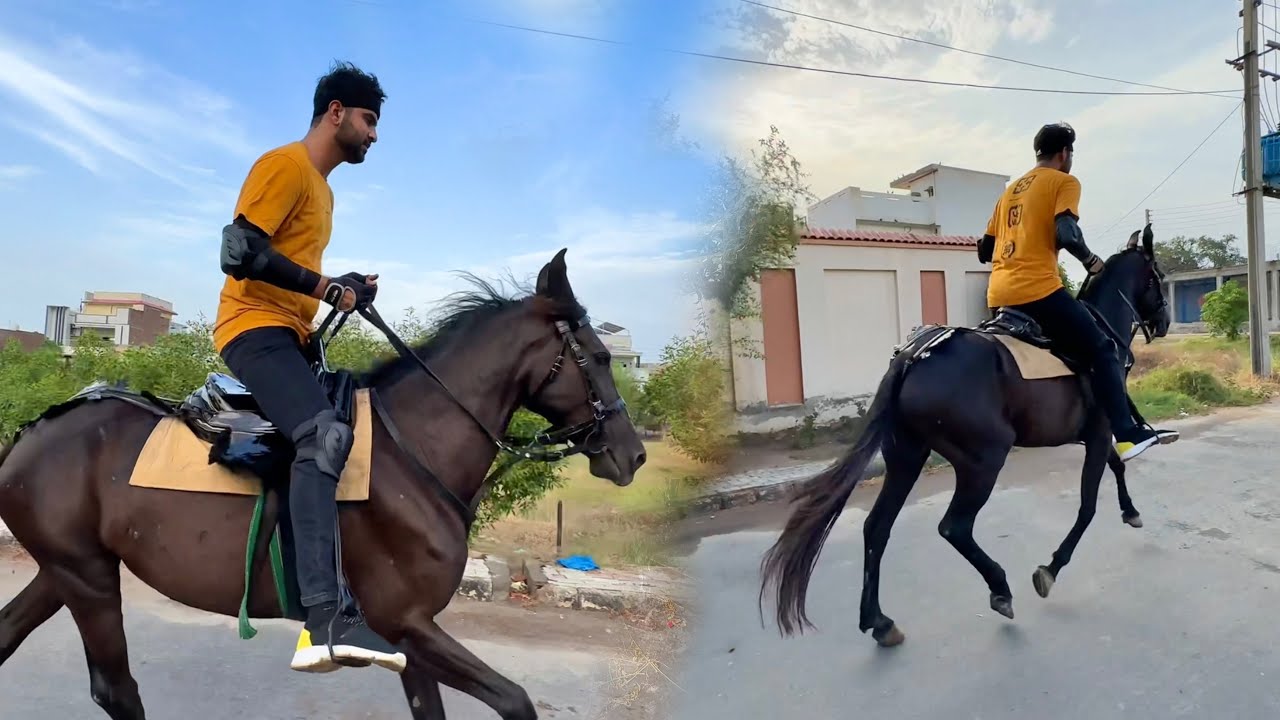 Finally Sabtain Ny  Horse Riding Seekh Li😍