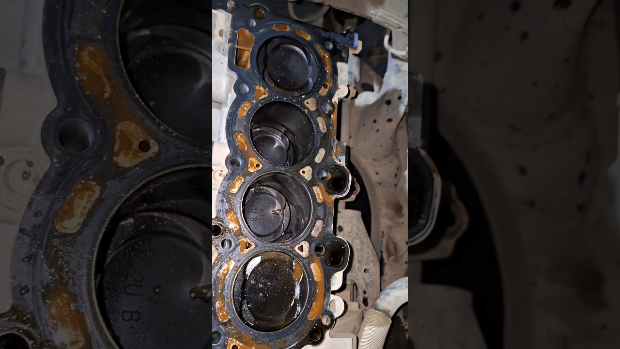 Head gasket replacement #hyundai #car #automobile #mechanic