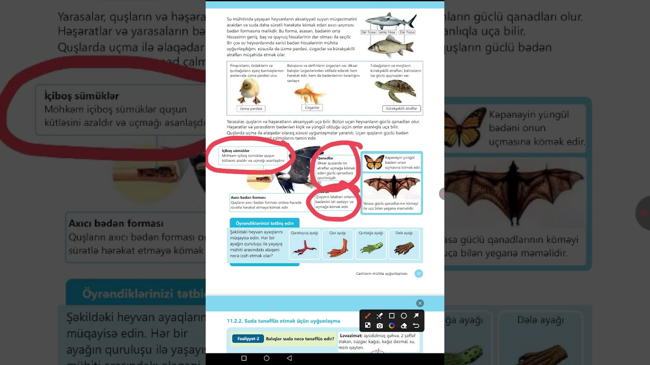Canlılarda uyğunlaşma.