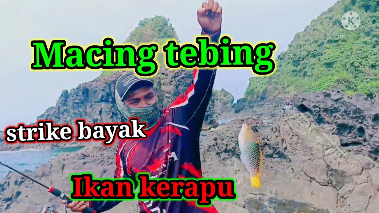 mancing tebing strike banyak kerapu dan ikan pogot