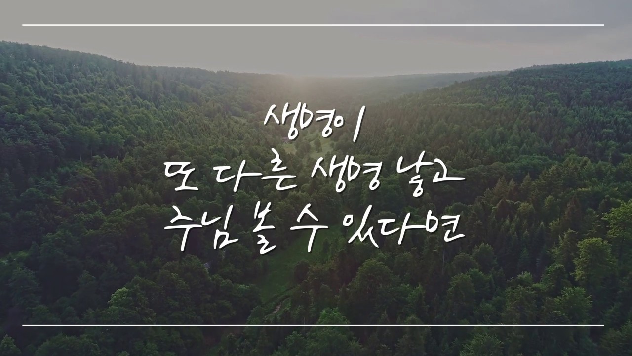 밀알 - 천관웅 (공식 가사 비디오) [OFFICIAL LYRIC VIDEO]