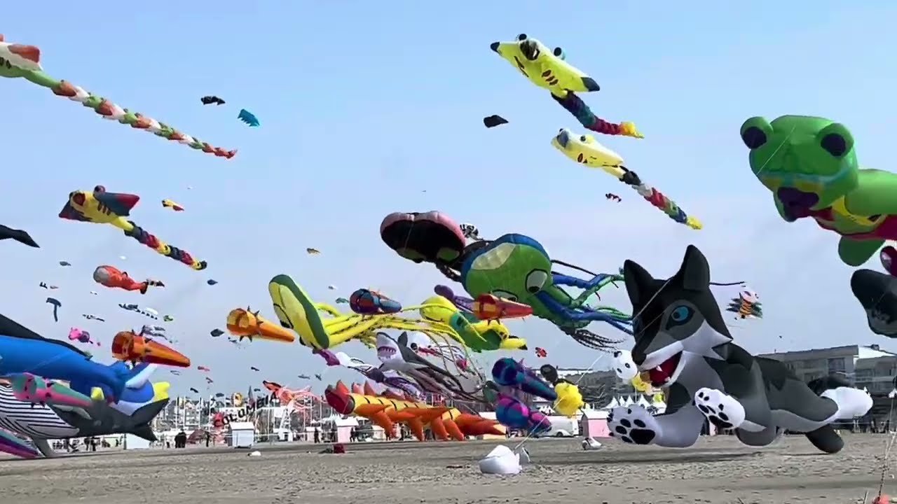 Berck sur Mer 🇫🇷: rendez-vous international du cerf volant