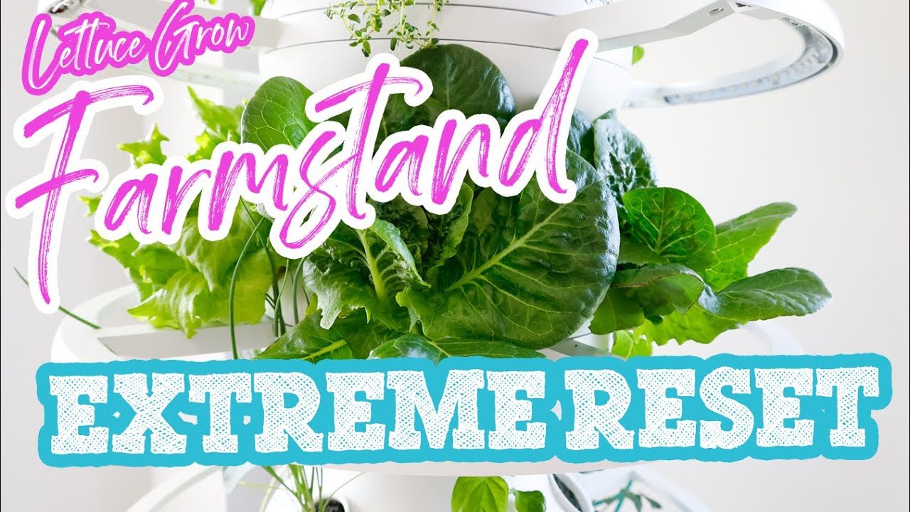 EXTREME RESET - Indoor Lettuce Grow Farmstand And Glow Rings | Slay At Home Mother