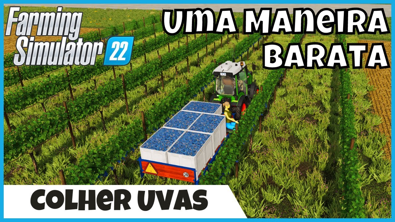 FS22 | Colheitadeira MANUAL de UVAS, uma Forma Barata pra Quem ta Começando | FARMING SIMULATOR 22