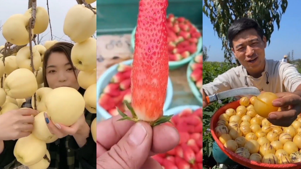 🍎Farm Fresh Fruit Satisfying🥝 | Tik Tok | buah buahan segar yang harus anda coba!! #9
